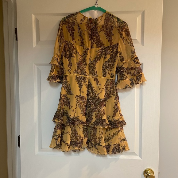 Keepsake the Label Ruffled Dress - Picture 3 of 5